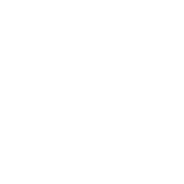 Darwin Aboriginal Art Fair Foundation