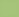 Lime Green Lime Green