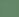 Evergreen Stripe