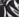 Black Feather Palm
