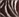 Mocha Animal